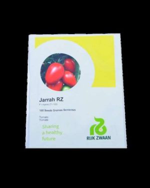 Tomato-Jarrah RZ F1