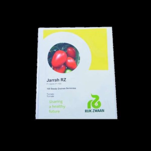Tomato-Jarrah RZ F1 | 1000 Seeds