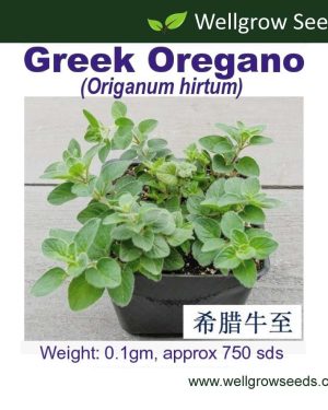 Wellgrow Greek Oregano (750 Seeds)