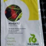 Red Hot Pepper-Afadja RZ F1