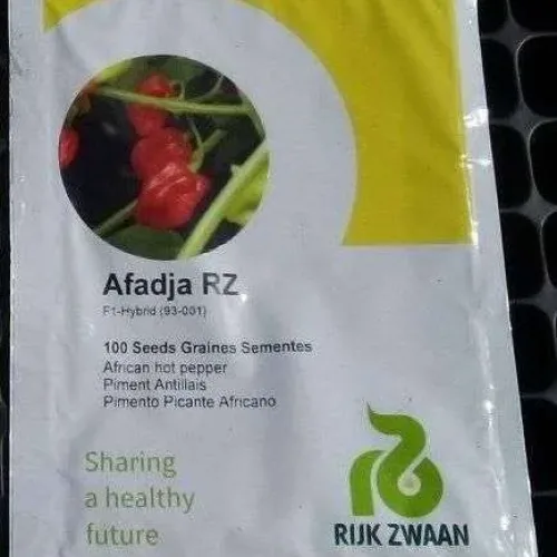 Red Hot Pepper-Afadja RZ F1 (100 Seeds)