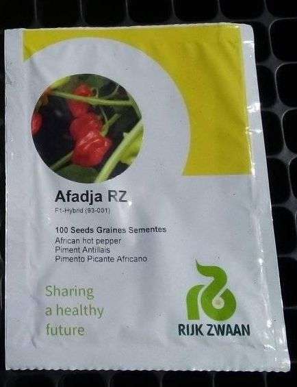 Red Hot Pepper-Afadja RZ F1