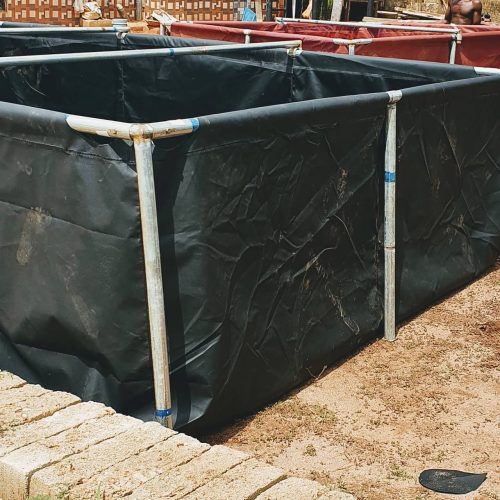 Tarpaulin Fish Pond (3ft by 6ft, 3ft Height | 100 Fish Capacity)
