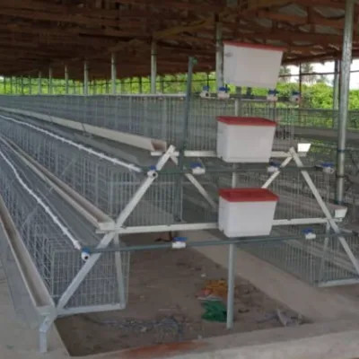 3-Tier Imported Battery Cage (Cold Deep) | 96 Birds Capacity