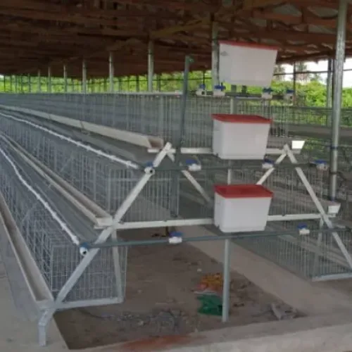 3-Tier Imported Battery Cage (Cold Deep) | 96 Birds Capacity