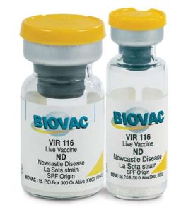 LaSota Vaccines (Large Dose Vials) | 1000