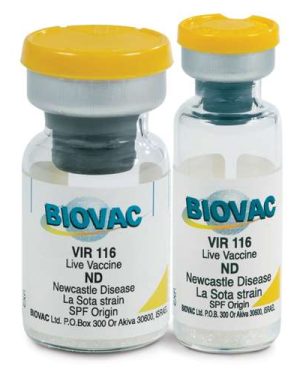 LaSota Vaccines (Large Dose Vials) | 1000