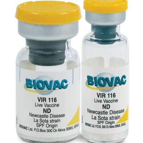 LaSota Vaccine (Small Dose Vials) | 100