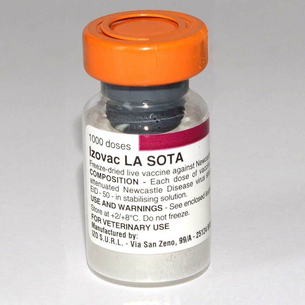 LaSota Vaccines (Small Dose Vials) | 50 Doses