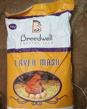 Breedwell Layer Mash Feed