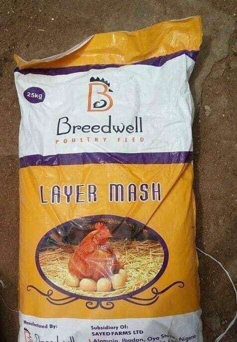 Breedwell Layer Mash Feed