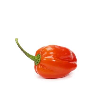 Red Hot Pepper-Lengai RZ F1 (100 Seeds) - Image 2