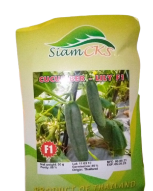 Lily Cucumber - 50g