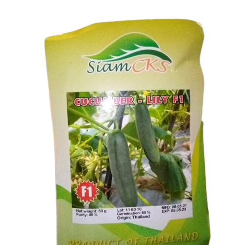Lily Cucumber - 50g
