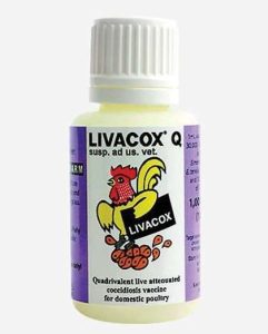 Livacox Q | 2000 Doses