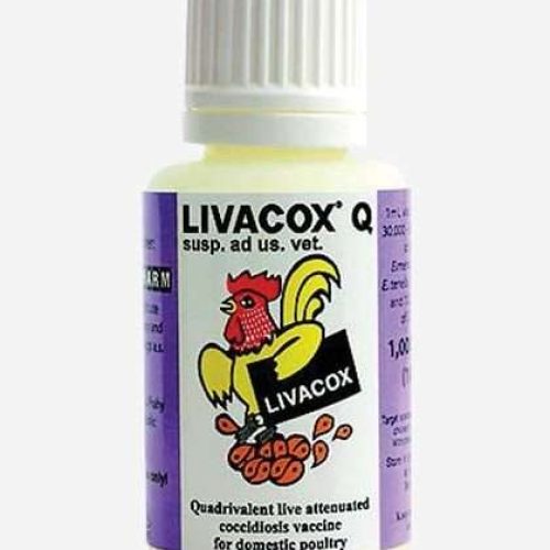 Livacox Q | 2000 Doses