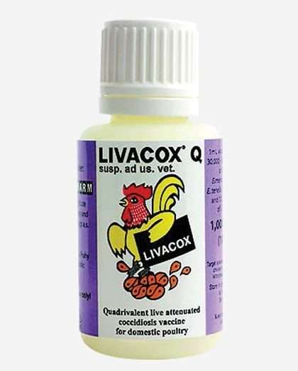 Livacox Q | 2000 Doses