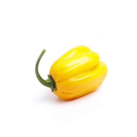 Yellow Hot Pepper-Loleza RZ F1 (100 Seeds) - Image 2