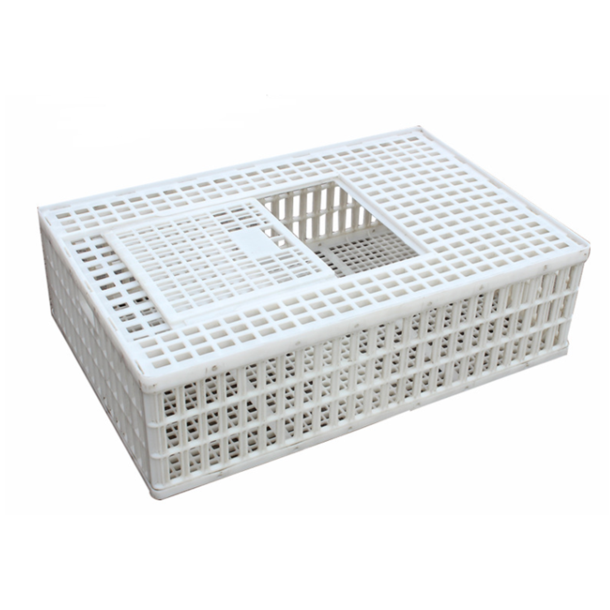 Chicken Transport Crate (Large Size) | 20 -25 Birds Capacity - Image 2