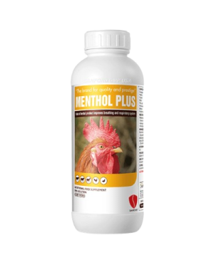 Mentol Plus Mentoforth | 1 Bottle