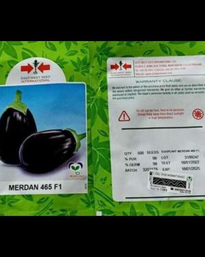 Merdan F1 Eggplant Seed