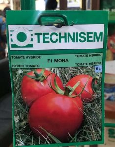 F1 Mona Tomato Seeds Technisem | 5g
