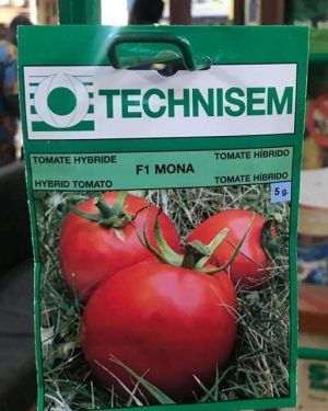 F1 Mona Tomato Seeds (Technisem | 50g)