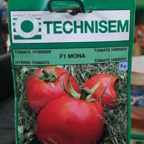 F1 Mona Tomato Seeds Technisem | 5g