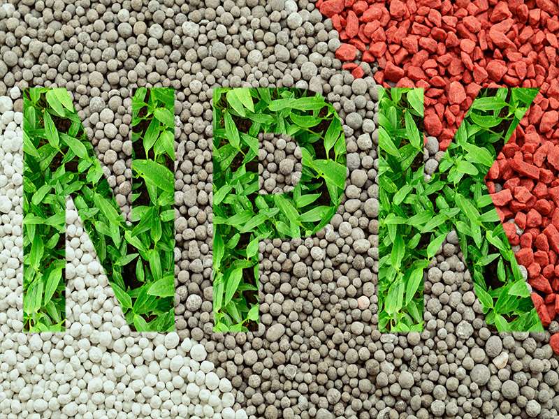 EME NPK 20-10-10 Fertilizer | 50kg - Image 2