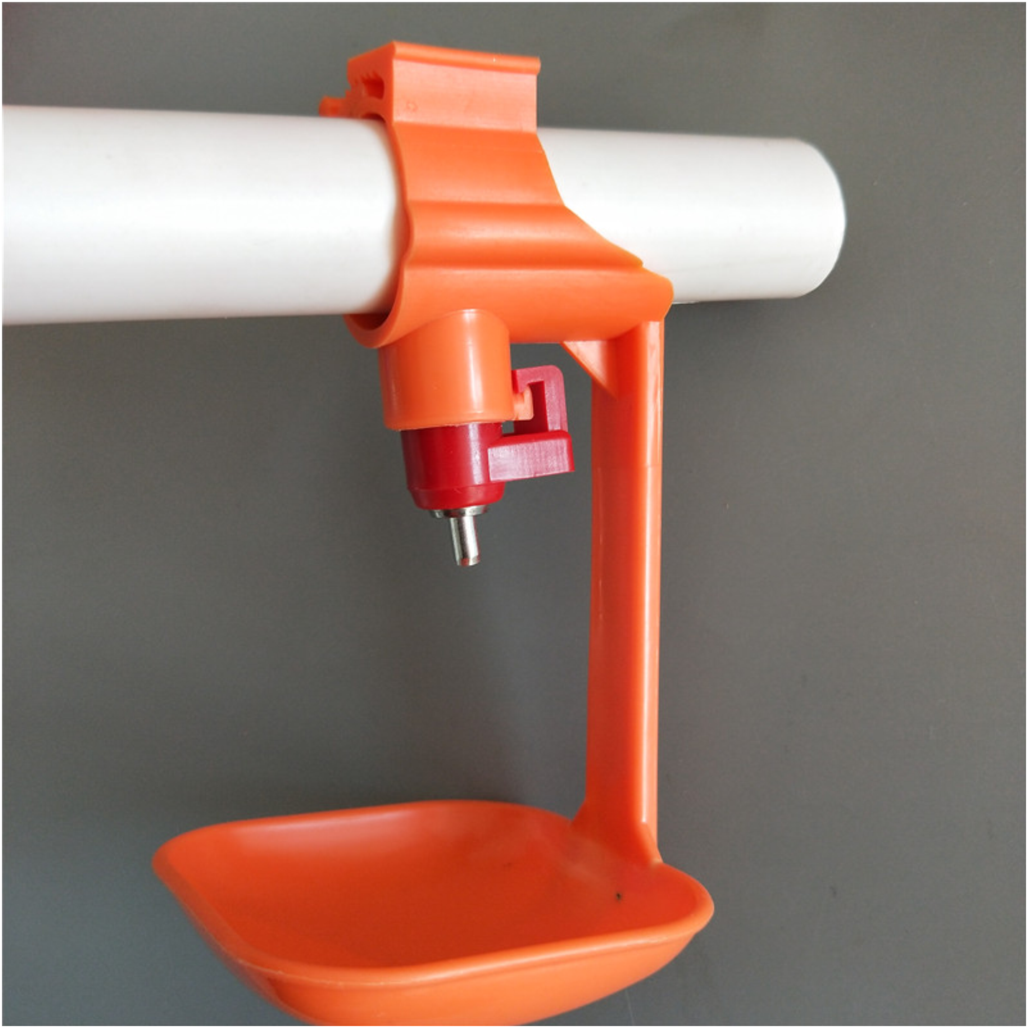 nipple drinker with cup