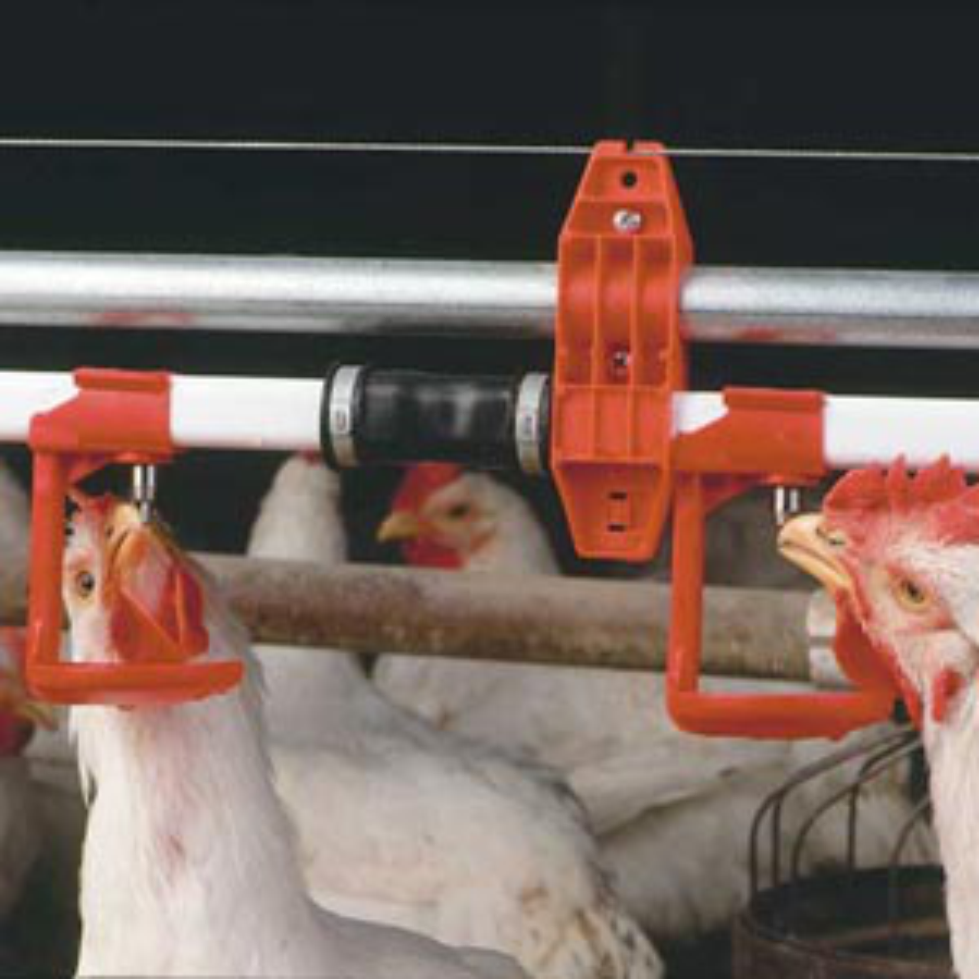 Nipple Drinker with Cup - Image 2