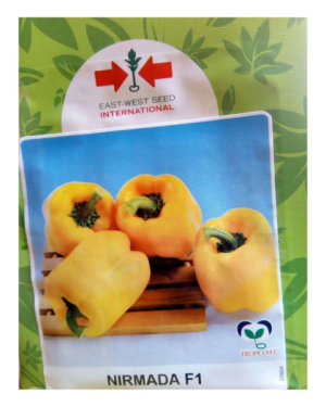 Nirmanda F1 Hybrid Sweet Pepper Seeds | 500 Seeds from HTS Farms