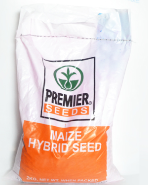 Sammaz 14 Premier Seed