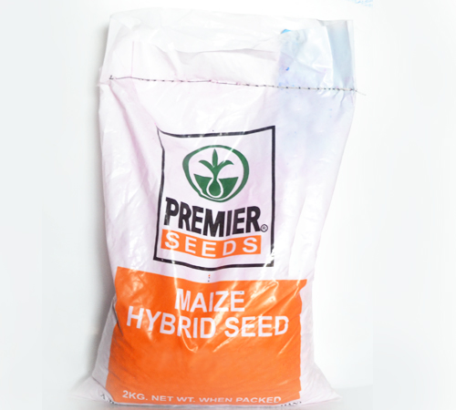 Sammaz 14 Premier Seed