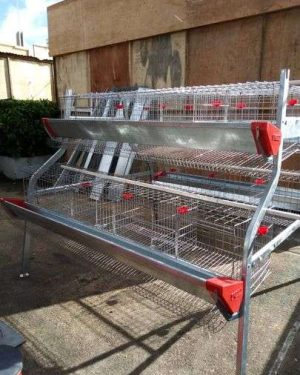 2 Tier Battery Cage