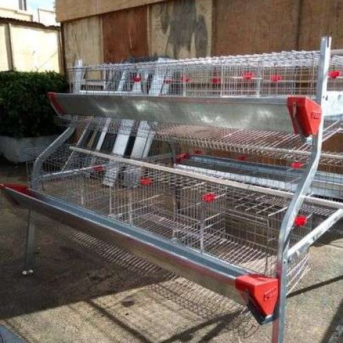 2 Tier Battery Cage (64-80 Layers)