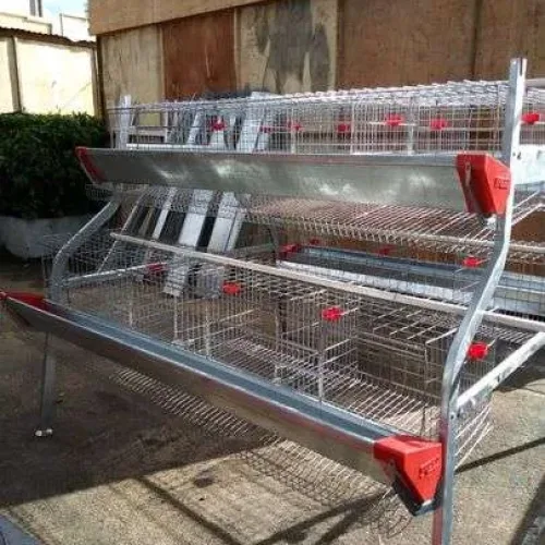2 Tier Battery Cage (64-80 Layers)