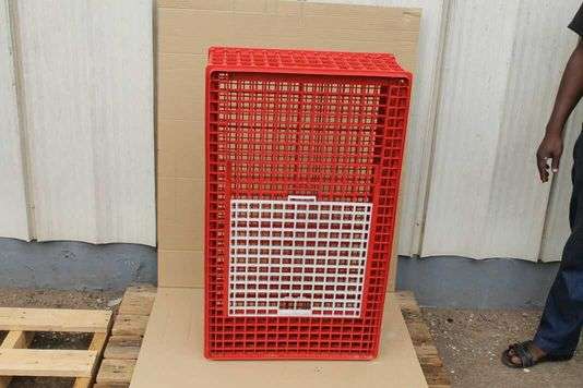 Transport Crate