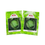 Pakse F1 Cabbage Seed | 500 Seeds