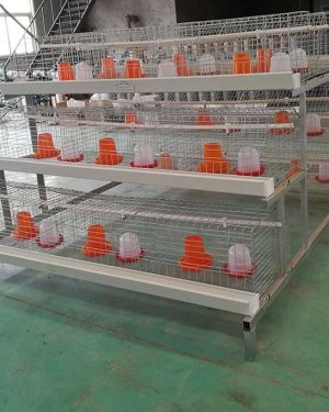 3-Tier Brooding Cage