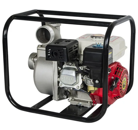 Gasoline Water Pump WP30 - Image 2