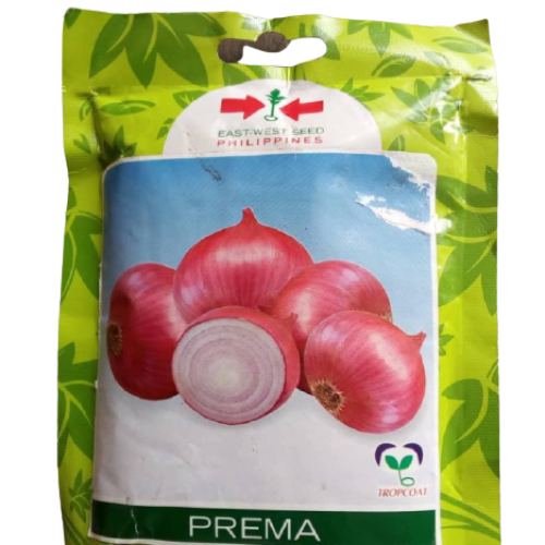 East West Prema Onion Seed (250g)