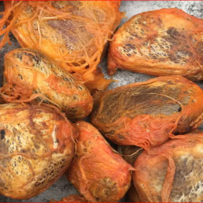 Pumpkin / Ugu Seed