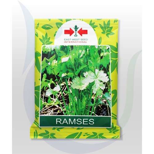 Ramses Coriander Seeds