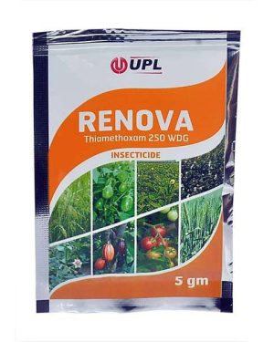Renova Insecticide Thiamethoxam 250 WDG