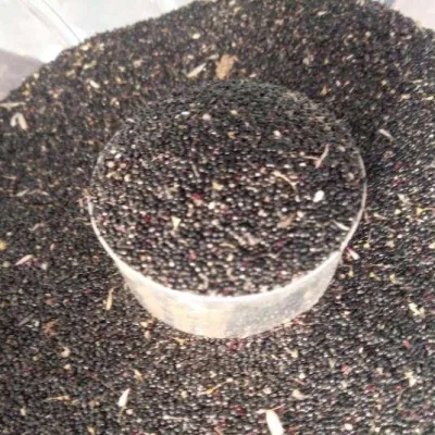 Shoko Seeds (Lagos Spinach | Per Cup)