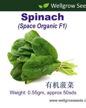 Spinach Space Organic F1