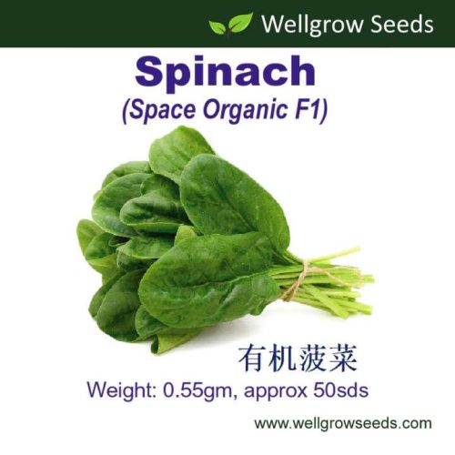 Spinach Space Organic F1 (50 Seeds)