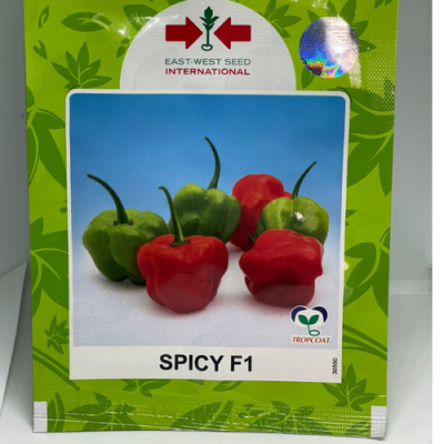 Spicy F1 Hot Pepper Seed (500 seeds)