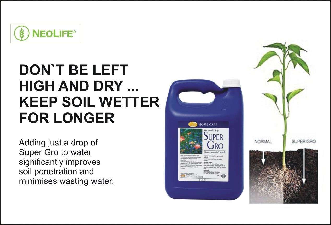 Super Gro Liquid Organic Fertilizer | 5L (MOQ:2) - Image 3